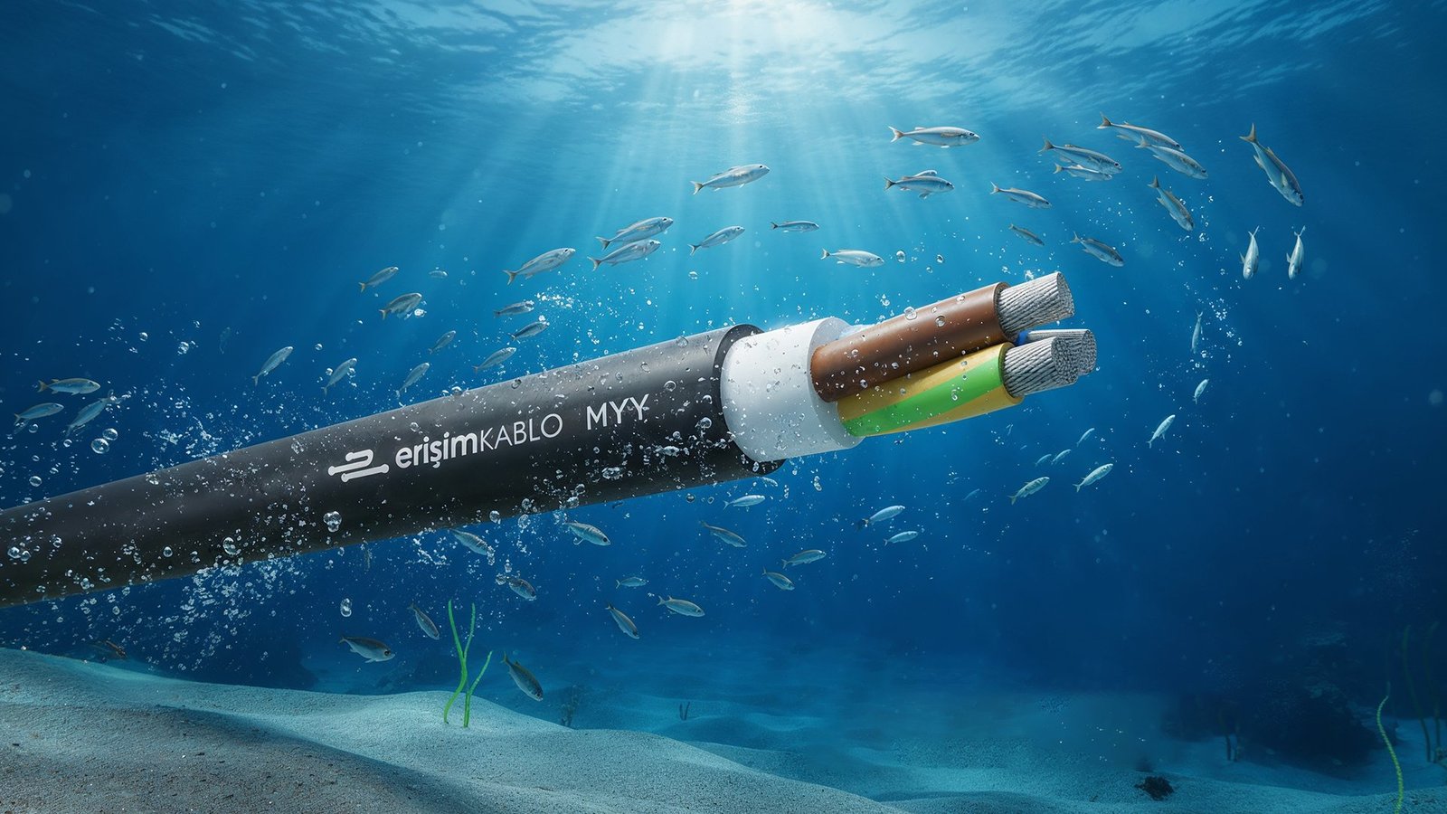 Değişim, Kalite, Dönüşüm!