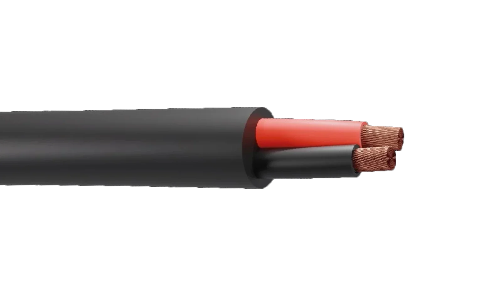 Speaker Cable